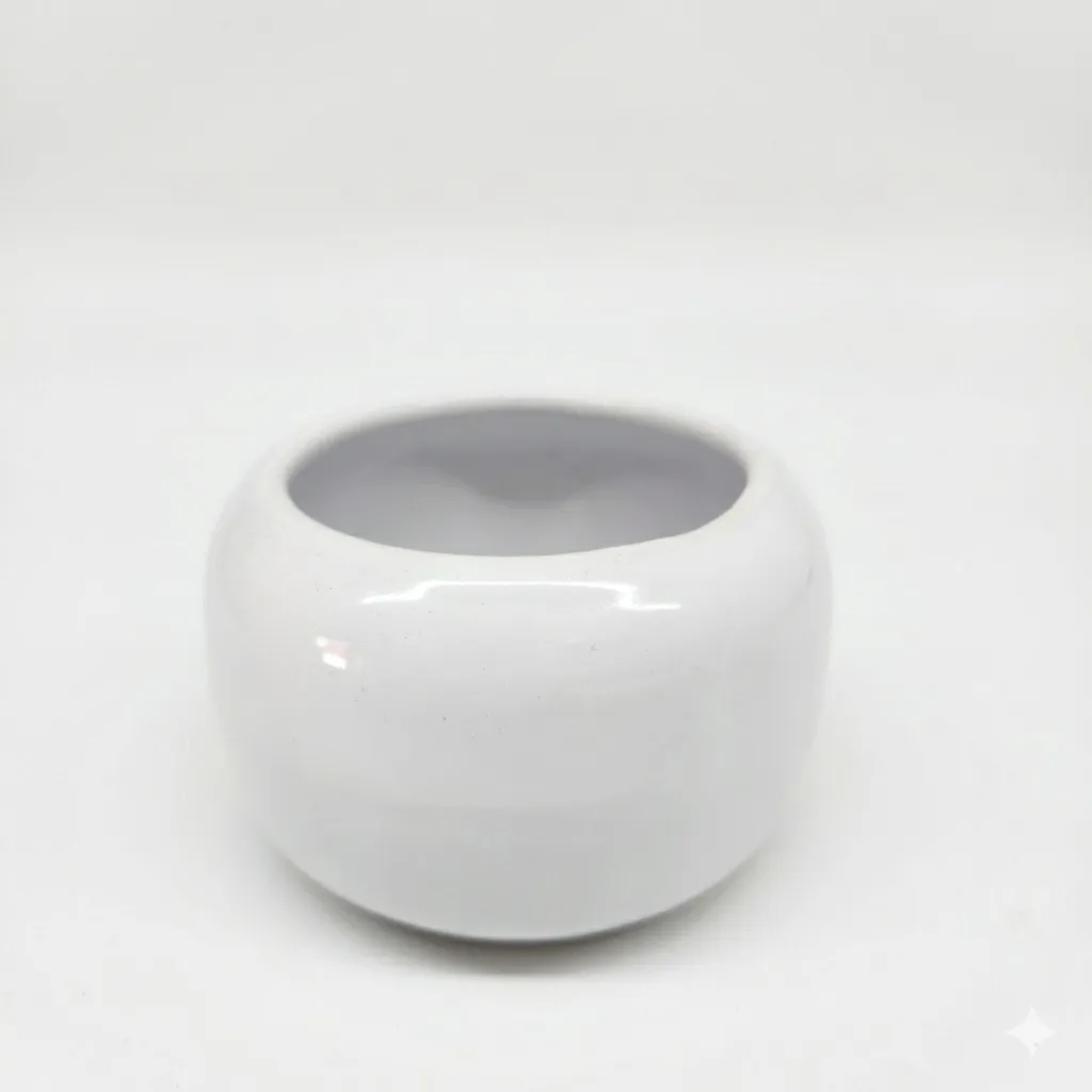 Pecera Micro